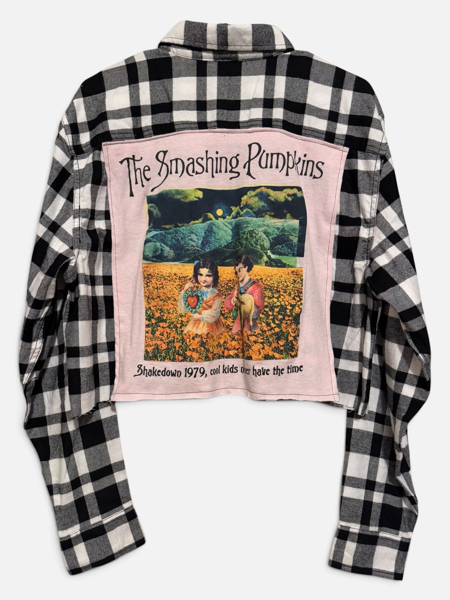 SP ~1979 reworked cropped Flannel
